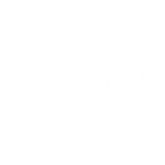 removals and cleaning